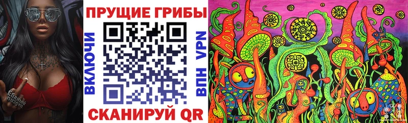 закладка  Хасавюрт  Галлюциногенные грибы мухоморы 