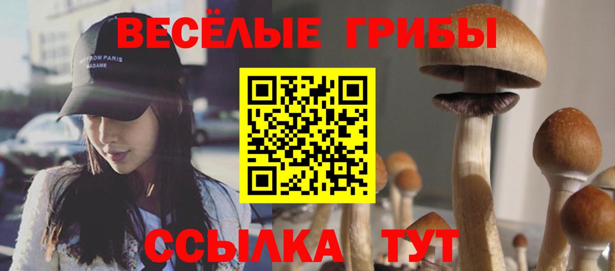 как найти закладки  Вход с VPN  Хасавюрт  Галлюциногенные грибы ЛСД  Псилоцибиновые грибы мухоморы 